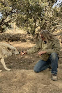 06:00: ¿Cómo lo hacen? Mundo animal: La transformación secreta | Discovery Max | 3/29 2026