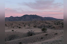 Expeditions With Patrick McMillan: Arizona's Sky Islands