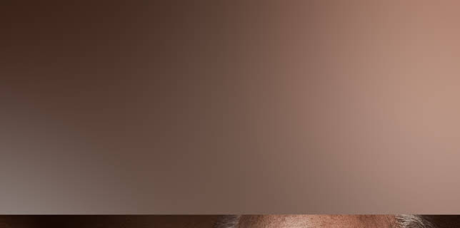 Betinho - No Fio da Navalha