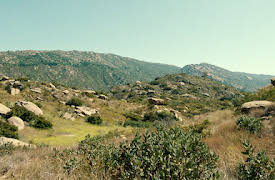 Beef: Figures of Light