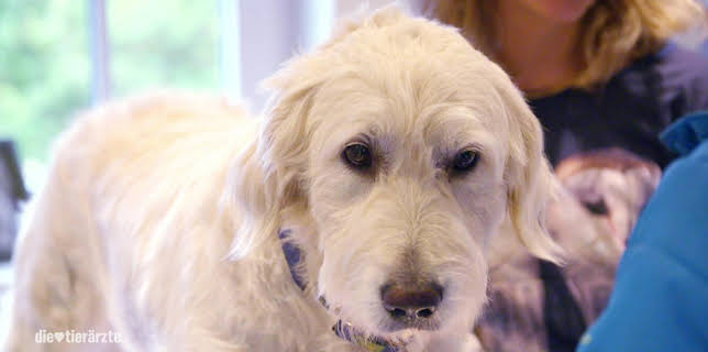 10:25: Die Tierärzte - Retter mit Herz (53) | WDR Fernsehen | 3/25 2026