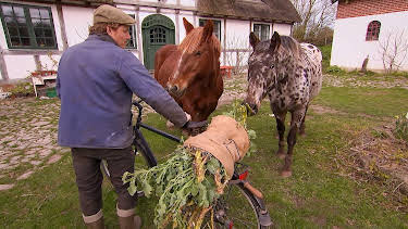 23:10: Det gode bondeliv: Vårslipp og mistbenk | NRK 1 | 4/26 2026
