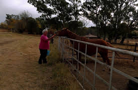 The Lion Queen: Fire and Ice