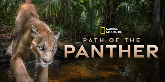 Path of the Panther (2023)