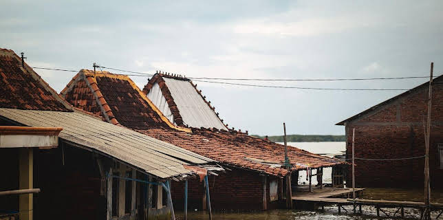 08:20: 360° Reportage | Arte | 1/24 2026