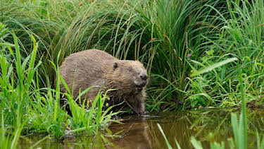 03:50: Unter unserem Himmel | BR Fernsehen | 5/4 2026