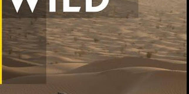 16:32: Las maravillas ocultas de África: El Sáhara | La Otra | 1/16 2026