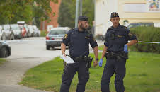 Södertäljepolisen (S3 E9)