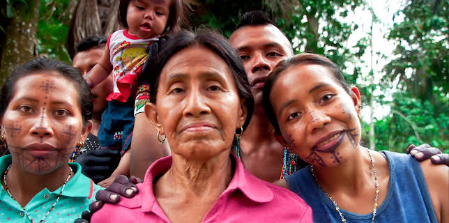 El sendero de la anaconda (2019)