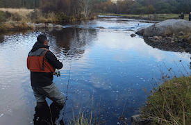 Fiskekonger: Episode 7