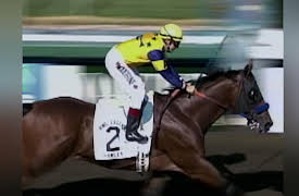 Jockeys Season 1: Legends of the Fallen