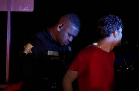 On Patrol: Live - Shorts season-1: Crazed Driver Holds Passengers Hostage During High-Speed Pursuit