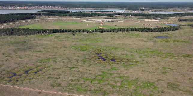 21:45: Hotspot Arktis | Arte | 3/3 2026