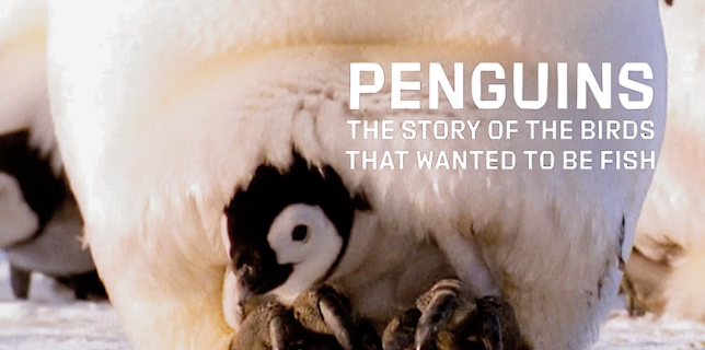Penguins: The Story of the Birds That Wanted to be Fish (2007)