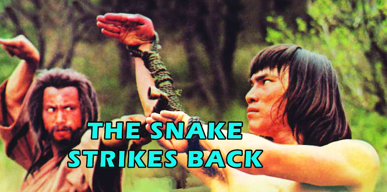 The Snake Strikes Back (1981)