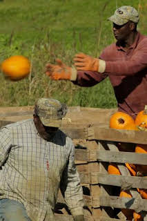 19:10: Maine. América al natural | La Otra | 10/8 2026