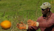 Maine. América al natural