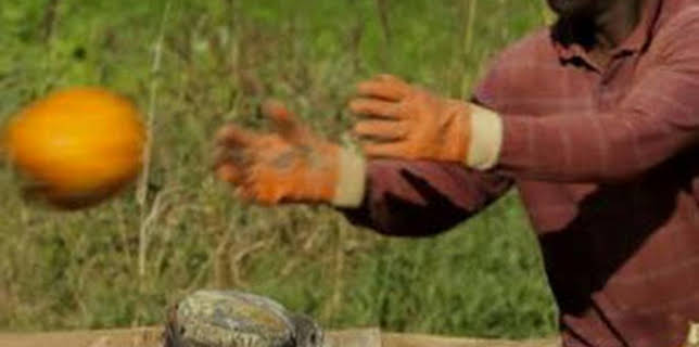 19:15: Maine. América al natural | La Otra | 12/12 2025