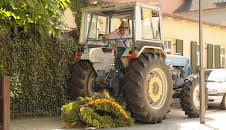 Dahoam is Dahoam (1198)