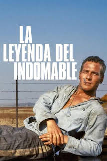 20:10: La leyenda del indomable | 13 TV | 8/2 2026
