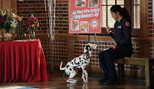 Chicago Fire (S7 E11)