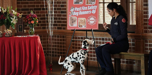 19:00: Chicago Fire (S7 E11) (S7) | Viasat Series | 11/6 2025