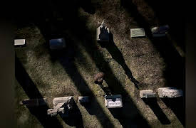 Heroes Volume 1: Unexpected