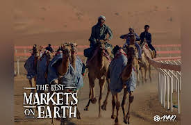 The Best Markets On Earth: Al Ain Camel Market, United Arab Emirates
