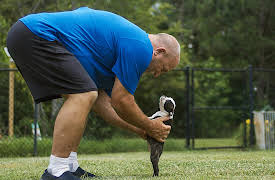 A Different Breed Season 1: Run Like The Fire