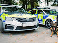 Police Interceptors
