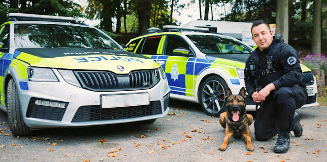 4:00 PM: Police Interceptors (S13 E2) (S13) | 5 Star | 11/10 2025