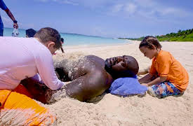 Shaq Life: Season 1: Shaq vs. Shaquille