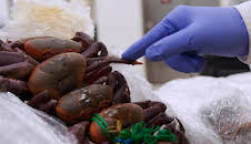 Grensevakten Spania (S5 E1)