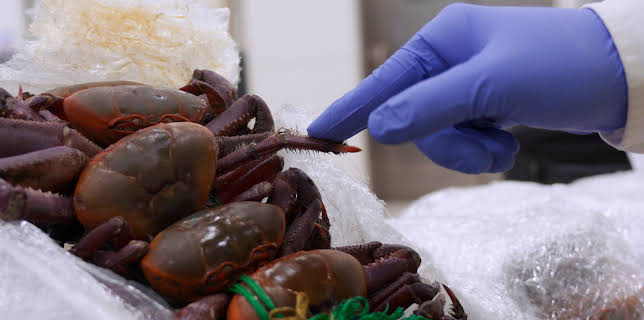 05:00: Grensevakten Spania (S5 E1) (S5) | Investigation Discovery | 11/6 2025