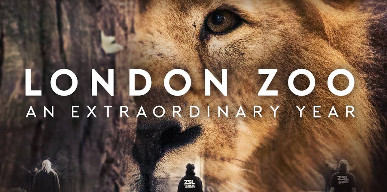 London Zoo: An Extraordinary Year