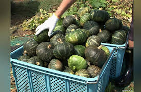 Crazy Labo: Episode 25