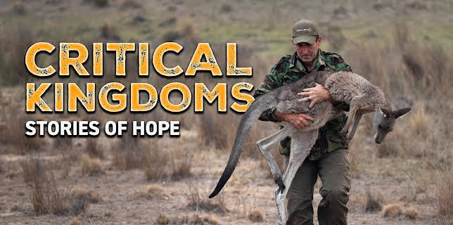 Critical Kingdoms: Stories of Hope, Season 1