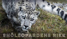 Världens natur: Snöleopardens rike