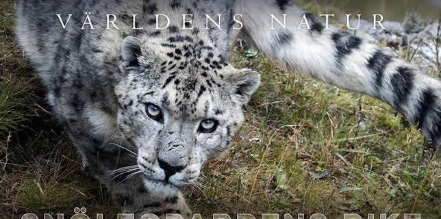 Världens natur: Snöleopardens rike
