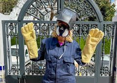 Jasmine Harman's Renovation in...