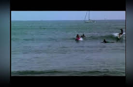 Laguna Beach Season 1: The Bonfire