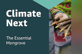 Climate Next: Zanzibar: The Essential Mangrove