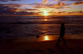 Only in Australia: Clever Country