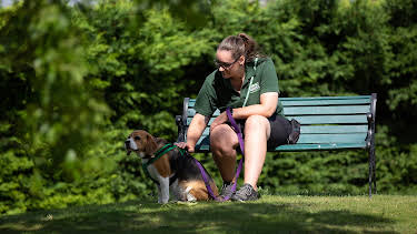 6:50 PM: The Dog House | More 4 | 9/30 2026