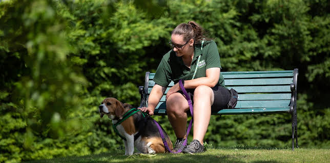 7:55 PM: The Dog House | More 4 | 1/14 2026