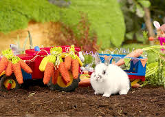 Rosin og Bolle: Festtoget