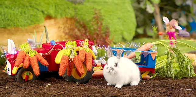 17:20: Rosin og Bolle: Festtoget | NRK 3 | 2/19 2026