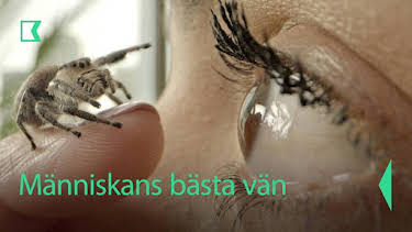 20:10: Människans bästa vän | Kunskapskanalen | 6/1 2026