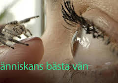 Människans bästa vän