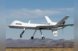 Thinking about Cybersecurity: From Cyber Crime to Cyber Warfare: Of Viruses, Botnets, and Logic Bombs